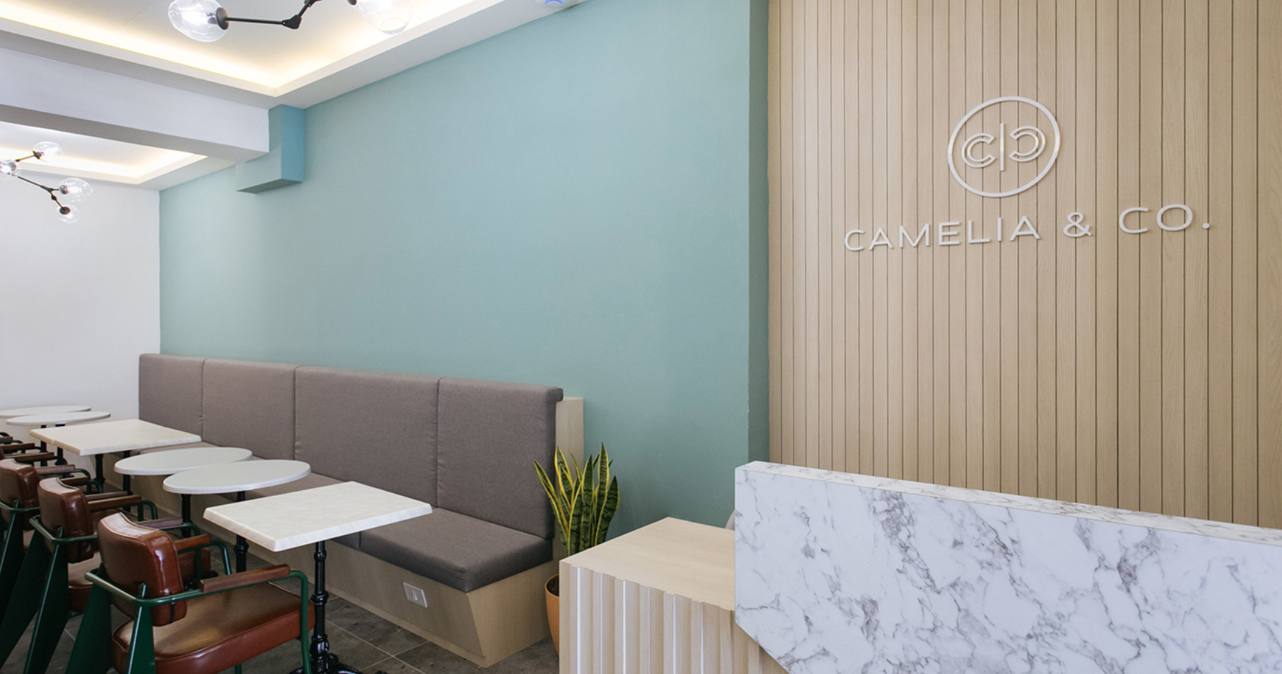 Camelia and co co working space